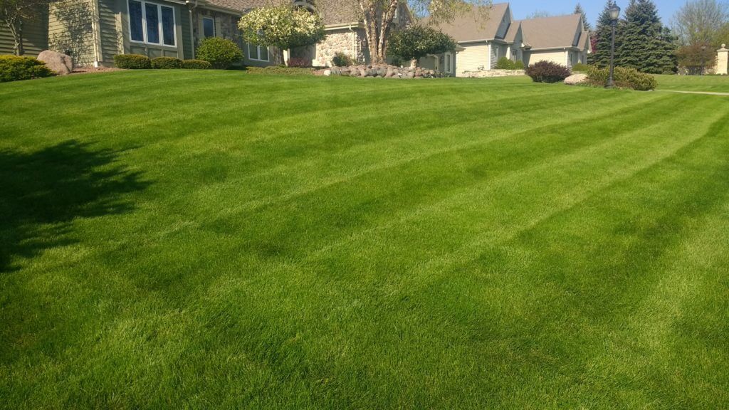 mowing brookfield lawn maintenance lawn care bush trimming clean up