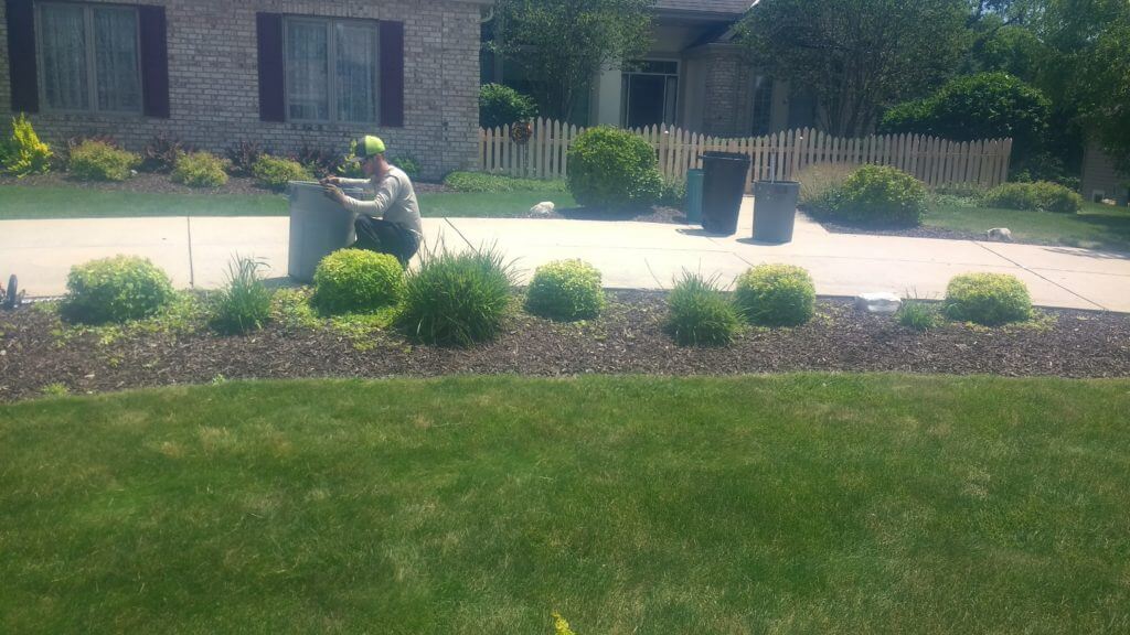 landscaping wislawn bush trimming perennials clean up